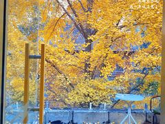 -腾爱熊猫咖啡生活馆(老东门店)