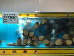 -海贡平价海鲜超市