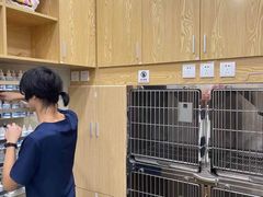 -爱佳宠物中心医院24H·CT·骨外科·猫专科(瑶海万达店)
