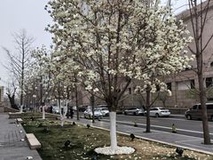 -锦什坊街叁拾伍号大厦