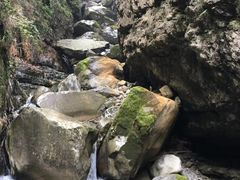 -鹿院坪生态旅游景区