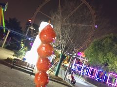 -锦江乐园舞狸花花游园会(夜场专享)