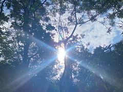 -火炉山森林公园