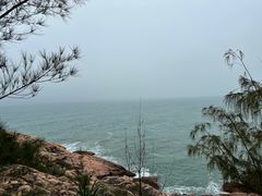 -广东惠东海龟国家级自然保护区