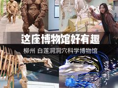 -柳州白莲洞洞穴科学博物馆