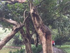 -人民公园(罗湖区)