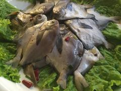 -海德呼市酒店-理疗按摩