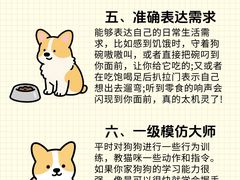 -瑞鹏宠物医院·骨外科·心肾科·肿瘤科(九亭店)