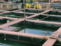 -蓝湾碧波·老字号·疍家非遗海上餐厅