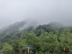 -秦岭风景区