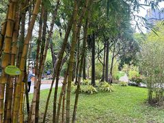 -晓港公园