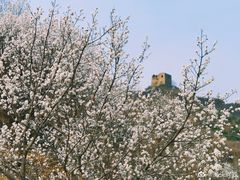 -蟠龙山长城景区