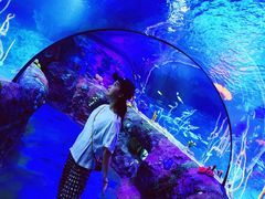 -沈阳海洋探索中心