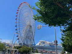 -大阪海游馆