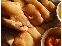 -亚龙湾海底世界