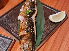 秘蜜汁烧鲭鱼-摩打食堂(佳兆业店)