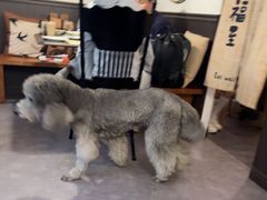 -沏点Trattoria意大利餐厅(新街口店)