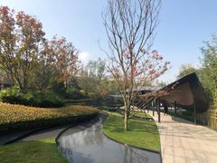 -枫香湖儿童公园