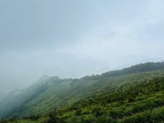 -灵山