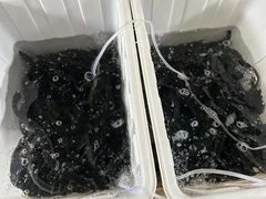 -九州酒场ひこぞう(2号店)