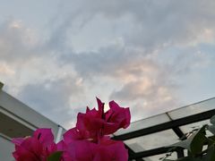 -殷姐糯米包油条