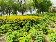-太阳宫公园