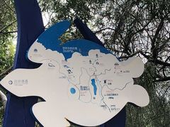 -广东惠东海龟国家级自然保护区