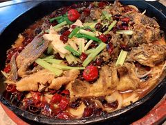 -老板恋上鱼(恒隆广场店)