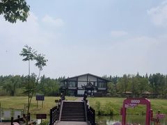 -南湖湿地公园