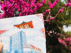 -西安青龙寺遗址景区