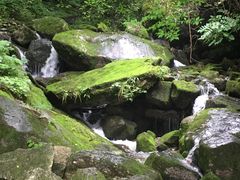 -陕西省红河谷森林公园