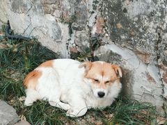 -林泷记·菜饭酒馆·秫香宴