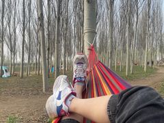 -东郊湿地公园