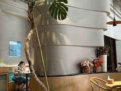 -SPOILER 黄石·全时段融合西餐(中华城店)