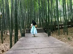 -苏州环秀晓筑养生度假村