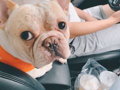 -青林湾公园-东停车场