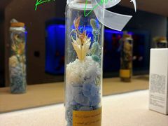 -宫七SPA·高端Massage(浦东大道店)