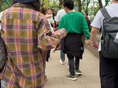 -灵顺寺