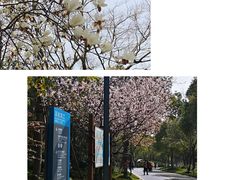 -上海吴淞炮台湾国家湿地公园