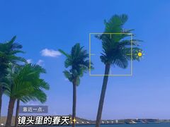 -呼兰河口湿地公园