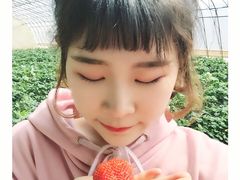 -大连北马山庄