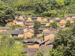 -杨家堂村