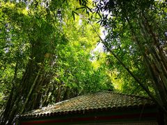 -马洛雷勒花园