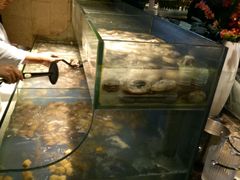 -星伦多自助料理·涮烤一体(虹悦城店)