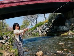 -羊山湖公园