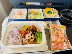 -全日本空输株式会社(上海办事处)