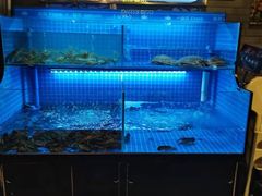 水产区-湘里乡亲甲王二老店
