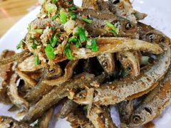 -全乐鱼馆·淳牌有机鱼直营店