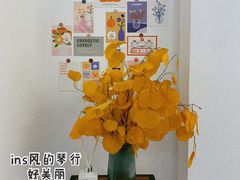 -小先生琴行(科园路店)