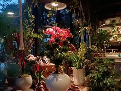 -自由生长植物工作室(深港花卉中心店)